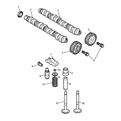 Jeep Compass 2017-Present Camshaft And Valve Intake Valve