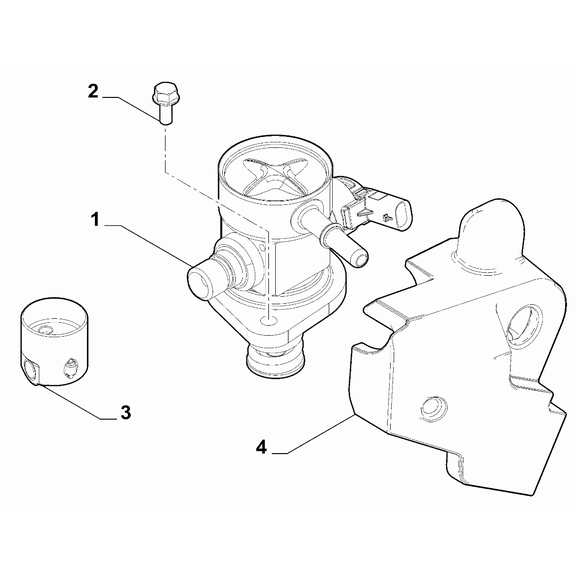 Jeep Renegade 2015-Present Fuel Injection System Screw