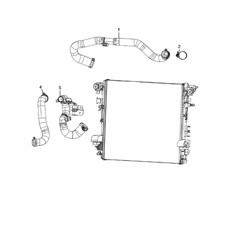 Jeep Wrangler 2018-Present Radiator And Related Parts; Charge Air Cooler Hose