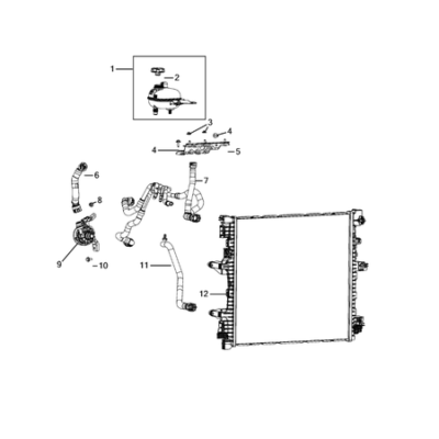 Jeep Grand Cherokee 2021-Present Radiator And Related Parts; Charge Air Cooler Nut