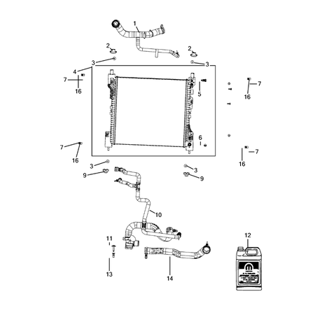 Jeep Grand Cherokee 2021-Present Radiator And Related Parts; Charge Air Cooler Nut