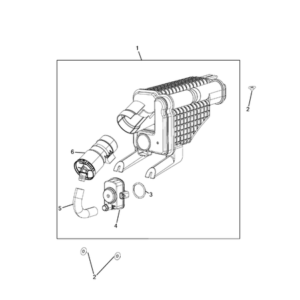 Jeep Renegade 2015-Present Crankshaft And Flywheel Screw