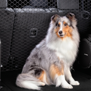 Avenger 2023-Present Rubber Mat For Storage Front Area – Rhd