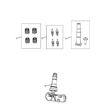Jeep Cherokee 2014-2018 Tire Monitoring System Valve