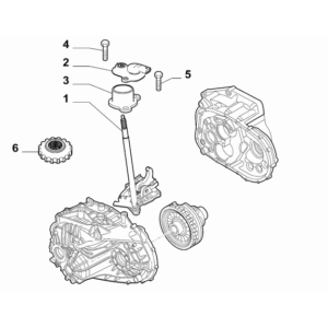 Jeep Wrangler 2018-Present Crankshaft, Piston, Drive Plate, Flywheel, And Damper Bearing